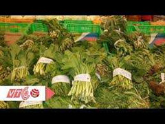 Tuồn rau 'bẩn' vào siêu thị bán dưới mác rau sạch