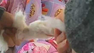 Cảnh giác chăn bông làm từ rác thải nhà tang lễ