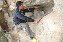 Chuyện lạ về hai người đàn ông săn ong giữa biển Đông