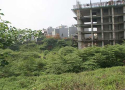 Đất vàng bỏ hoang: 'Cục máu đông' tắc nghẽn