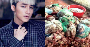 Top 10 từ khóa Việt tìm kiếm trên Google 2015: Người Việt sống nay không biết đến mai