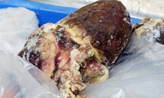 Hàng tấn thịt, nội tạng bẩn 'phục kích' chờ lên mâm cỗ Tết người Việt