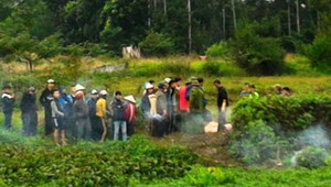 Thi thể người đàn ông bốc mùi nồng nặc dưới ruộng rau