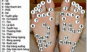 Phương thuốc phòng chống đột qụy, tai biến