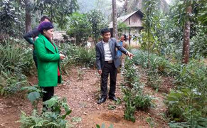 Nhà thiên văn học lý giải vật thể lạ rơi xuống Yên Bái, Tuyên Quang