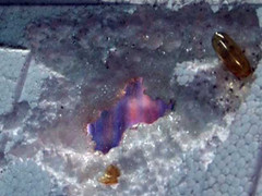 Hãi hùng thực phẩm chức năng Trung Quốc ‘ăn mòn’ miếng xốp