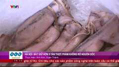 Video: Cận cảnh 5 tấn thực phẩm bẩn chờ đưa đến nhà hàng Hàn Quốc ở Hà Nội