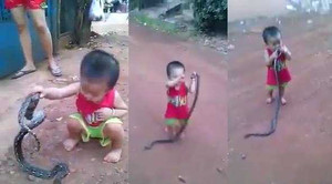 Rùng mình clip bé trai cầm con rắn còn sống quăng quật như đồ chơi