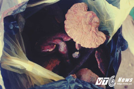 'Thần dược' chữa ung thư mốc meo núp dưới lớp sơn bóng loáng