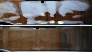 Làm trong kính xe vào mùa đông đơn giản đến bất ngờ