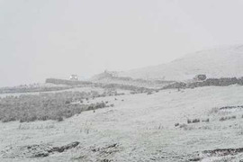 Nhiệt độ hạ kỉ lục, tuyết rơi dày đặc khắp Anh Quốc