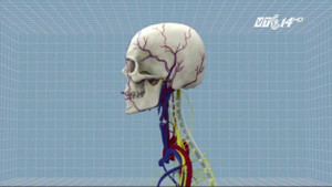 Clip: Việt Nam chuẩn bị ghép đầu người