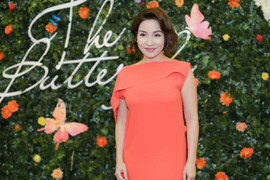 Mỹ Linh khoe nhan sắc đằm thắm quyến rũ