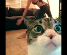 Cười rụng rốn clip ‘vạch mặt’ 5 kiểu người ‘dễ ghét’ nhất trên Facebook