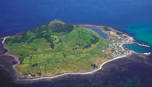 Phạt và trục xuất 56 người Việt bỏ trốn ở Hàn Quốc