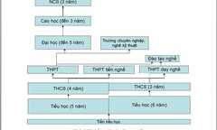Gần 30% học sinh THPT Trung Quốc đỗ đại học hàng năm