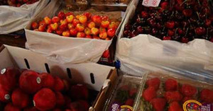 Hoa quả bạc triệu chỉ mua biếu chứ không dùng