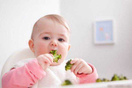 Phương pháp ăn dặm thuận tự nhiên