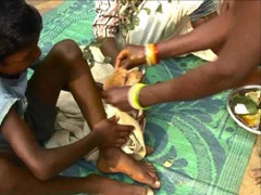 Lạ lùng chuyện cậu bé 7 tuổi bị ép kết hôn với chó