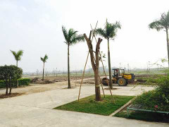 'Bom tấn' Thanh Hà sẽ làm nóng thị trường đất nền 2016