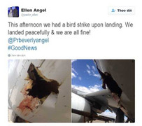 Khó tin hình ảnh mảnh vỡ máy bay do va chạm với chim