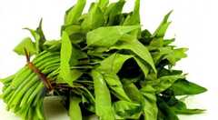 Khó phân biệt rau muống tưới nhớt bằng mắt thường
