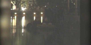 Video: Đưa xác 'cụ rùa' Hồ Gươm vào đền Ngọc Sơn trong đêm