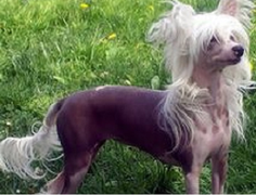 Mục sở thị những sinh vật có hình thù như quái vật