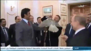 Video: Putin tặng chim ưng cho Quốc vương Qatar