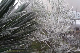 Thông tin mới nhất: Mẫu Sơn âm 2 độ C, xuất hiện băng tuyết