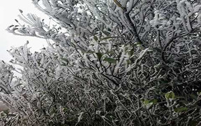 Mẫu Sơn đã xuất hiện băng giá