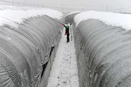 Chịu lạnh khủng khiếp nhất 30 năm, 90% diện tích Trung Quốc bị đóng băng