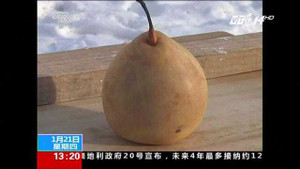 Video: Những thí nghiệm đo độ lạnh kinh hoàng ở Trung Quốc