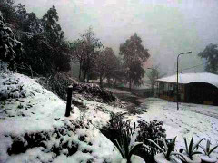 Nhiệt độ giảm sốc, miền Bắc sắp xuất hiện băng tuyết