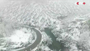 Rợn ngợp clip tuyết phủ trắng miền Đông Trung Quốc