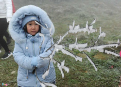 'Cháy' khách sạn, nhà nghỉ ở Mẫu Sơn, Sa Pa