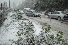 Lái xe ô tô đến vùng tuyết rơi sao cho an toàn?