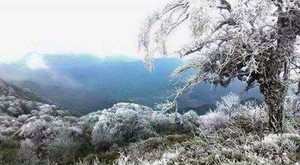 Miền Bắc chìm trong buốt giá, Sa Pa tuyết rơi dày đặc