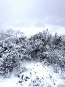 Băng tuyết phủ trắng vùng núi Nghệ An