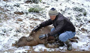 Chuyên gia thời tiết: Giá rét khủng khiếp 2 ngày nữa mới giảm