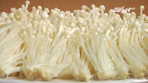 Cẩn trọng khi sử dụng nấm ăn lẩu