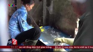 Clip: Rợn người công nghệ pha chế rượu vang Tết từ cồn và nước lã bẩn