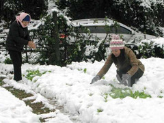 Đợt rét kỷ lục tàn phá miền Bắc, Thủ tướng chỉ đạo khẩn