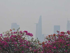 Sài Gòn ngày cuối năm, se lạnh và mờ ảo giữa sương mù