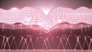 Chăm sóc da từ bên ngoài là chưa đủ