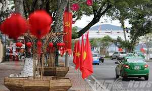 Ảnh: Đà Nẵng lộng lẫy sắc màu đón Tết Bính Thân