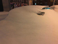 Rao bán Toyota Prius giá hơn 2 triệu đồng