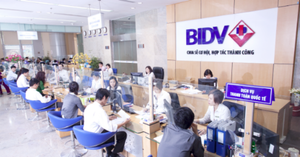 Ngân hàng BIDV đình chỉ 2 thành viên HĐQT phục vụ điều tra