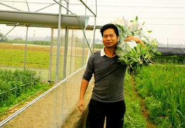 Hoa tươi loại nào sẽ tăng giá mạnh sát Tết?