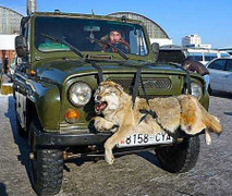 Nghèo như Mông Cổ cũng có xe hơi đầy đường